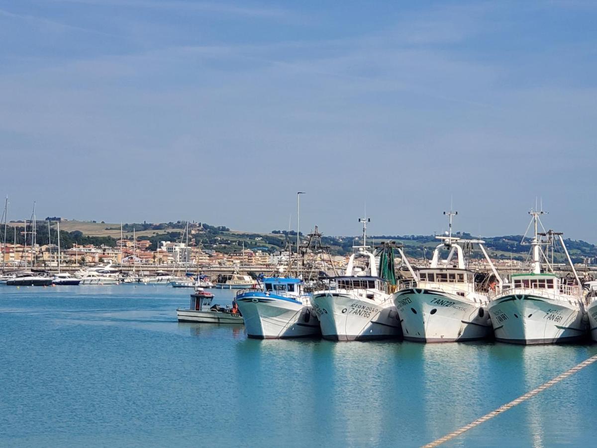 B&B Lido Apartament 10A Civitanova Marche Exteriör bild