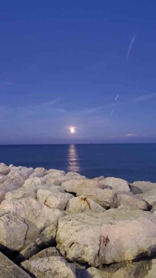 B&B Lido Apartament 10A Civitanova Marche Exteriör bild
